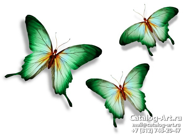 Butterflies 47